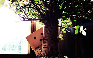 photography of Amazon box character hides on tree during daytime